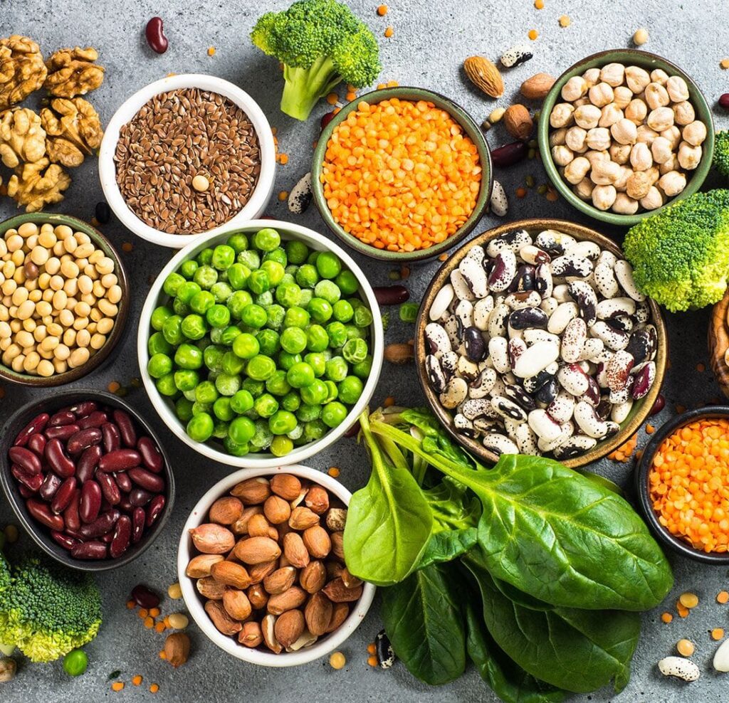plantaardige eiwitten